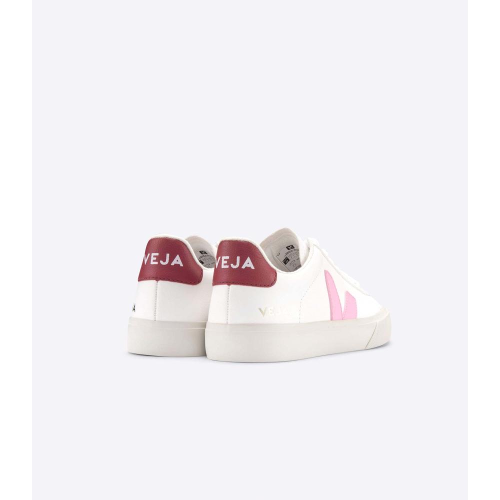 White/Pink Men's Veja CAMPO CHROMEFREE Low Tops Sneakers | AU 293YXF